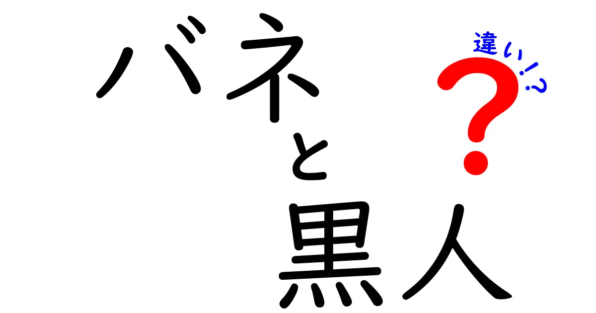 バネと黒人の違いをわかりやすく理解するには？意味・使い方・注意点を丁寧に解説