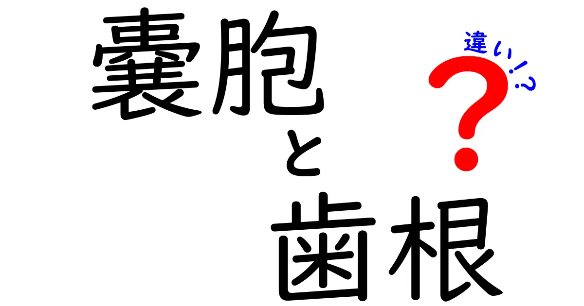 嚢胞と歯根の違いを徹底解説！歯の健康を守るポイントを中学生にもわかる言葉で