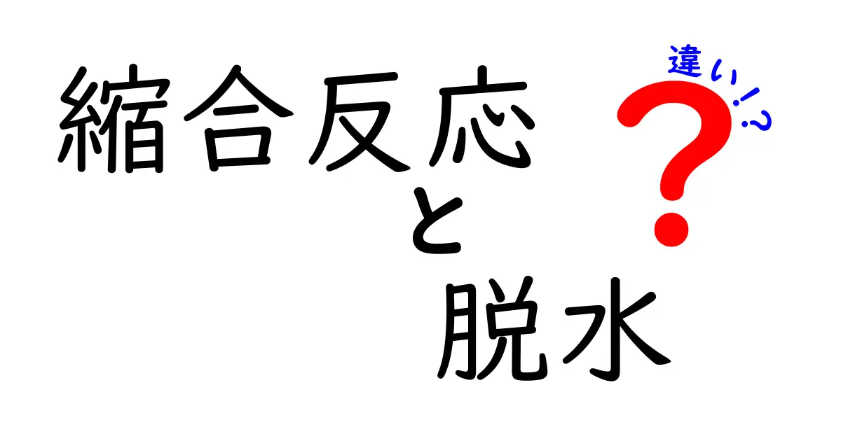 縮合反応と脱水の違いを徹底解説！中学生にも分かるやさしい化学の入門