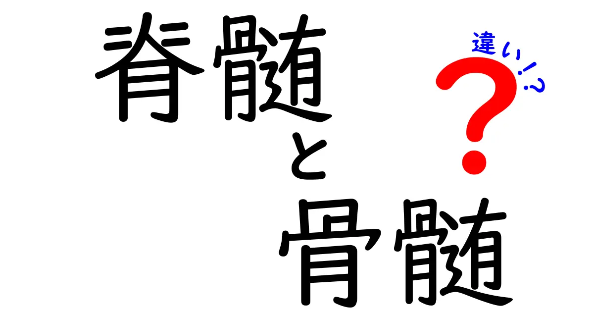 脊髄と骨髄の違いを徹底解説！中学生にもわかる体の仕組みガイド