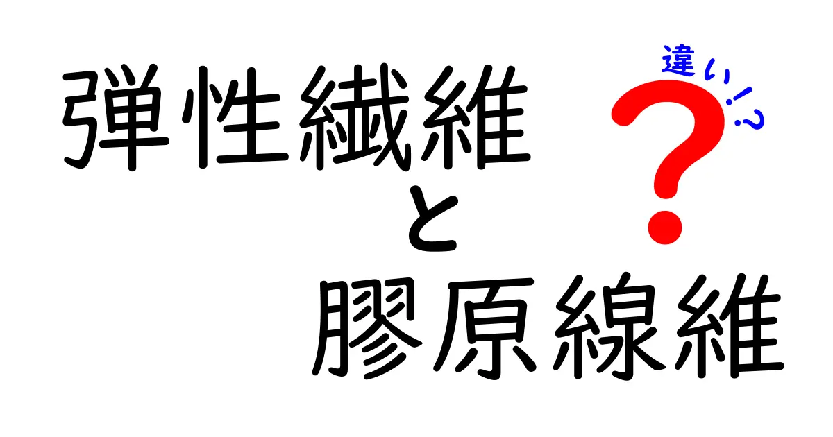 弾性繊維と膠原線維の違いを徹底解説！どっちがどんな場面で重要？