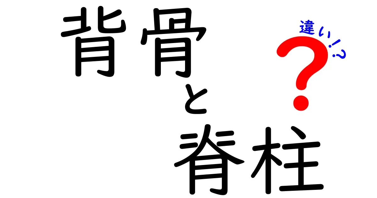 背骨と脊柱の違いを徹底解説！中学生にもわかる体の仕組みと役割の違い