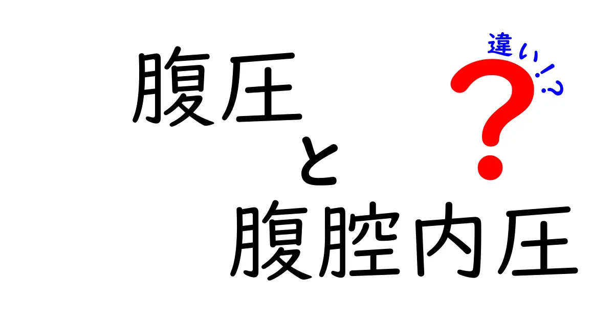 腹圧と腹腔内圧の違いをわかりやすく解説！健康と運動に役立つポイント