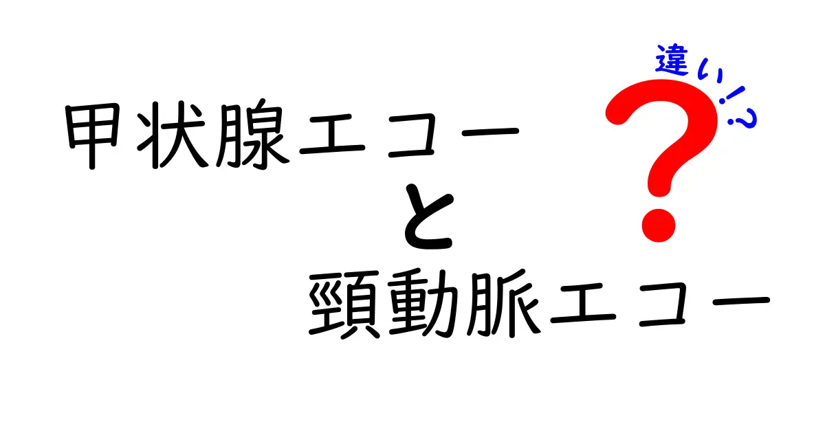 甲状腺エコーと頸動脈エコーの違いを徹底解説！どちらを受けるべき？検査の目的と見えるもの