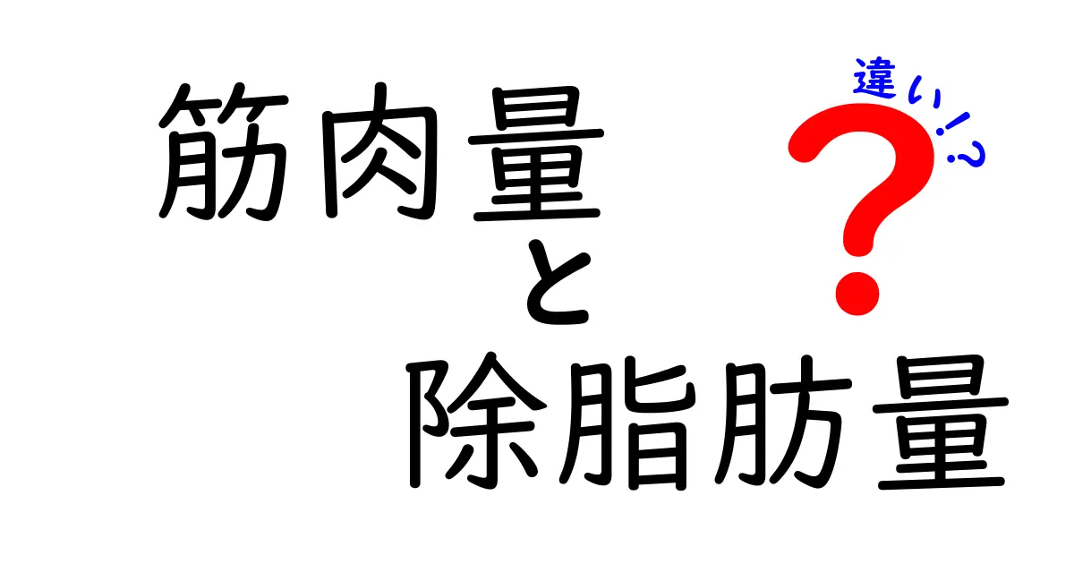 筋肉量と除脂肪量の違いを今すぐ理解！成長期の体づくりに役立つポイント
