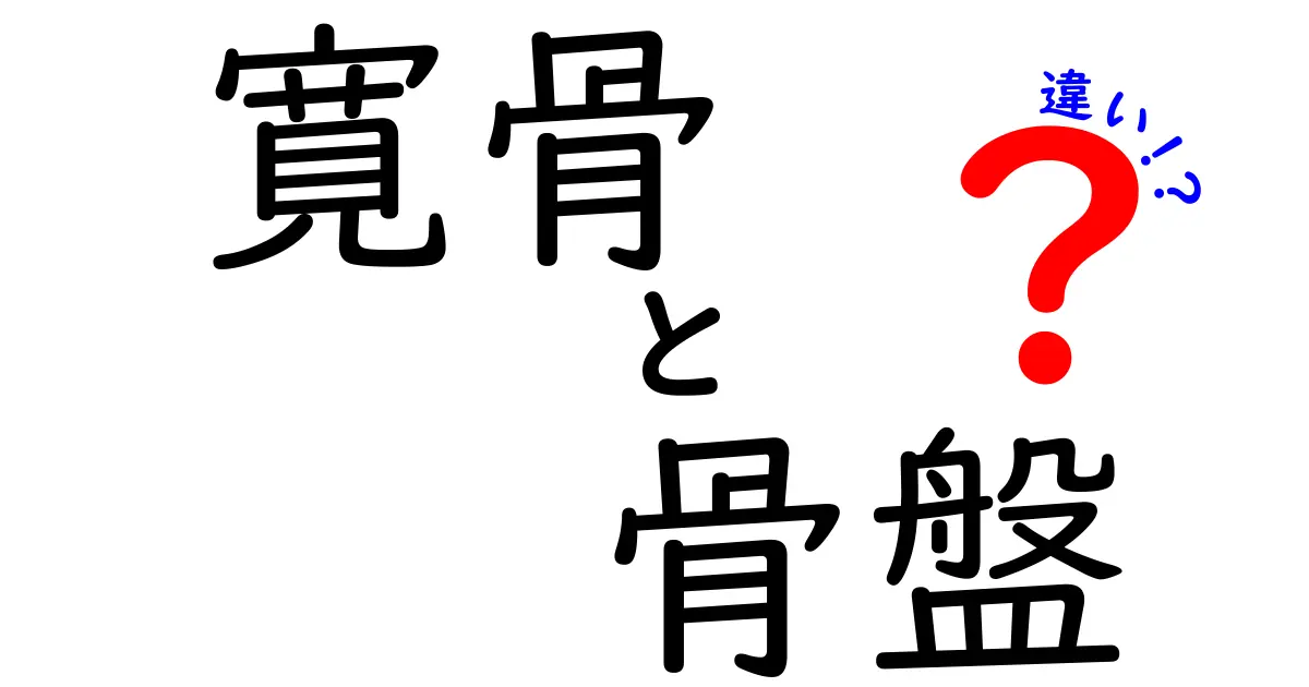寛骨と骨盤の違いを徹底解説！名前が似ていても役割は別物である理由