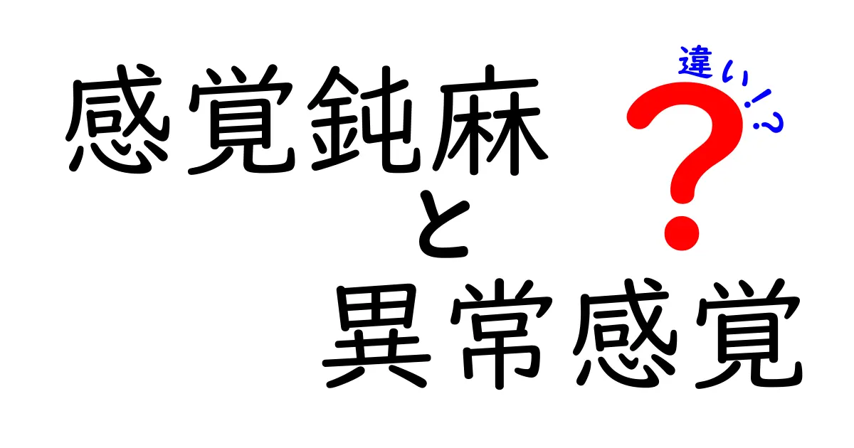 感覚鈍麻・異常感覚・違いを徹底解説 中学生にも分かる見分け方と対処ガイド