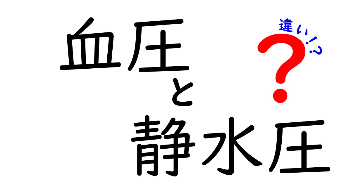 血圧と静水圧の違いを徹底解説！中学生にもわかる基本と日常のヒント