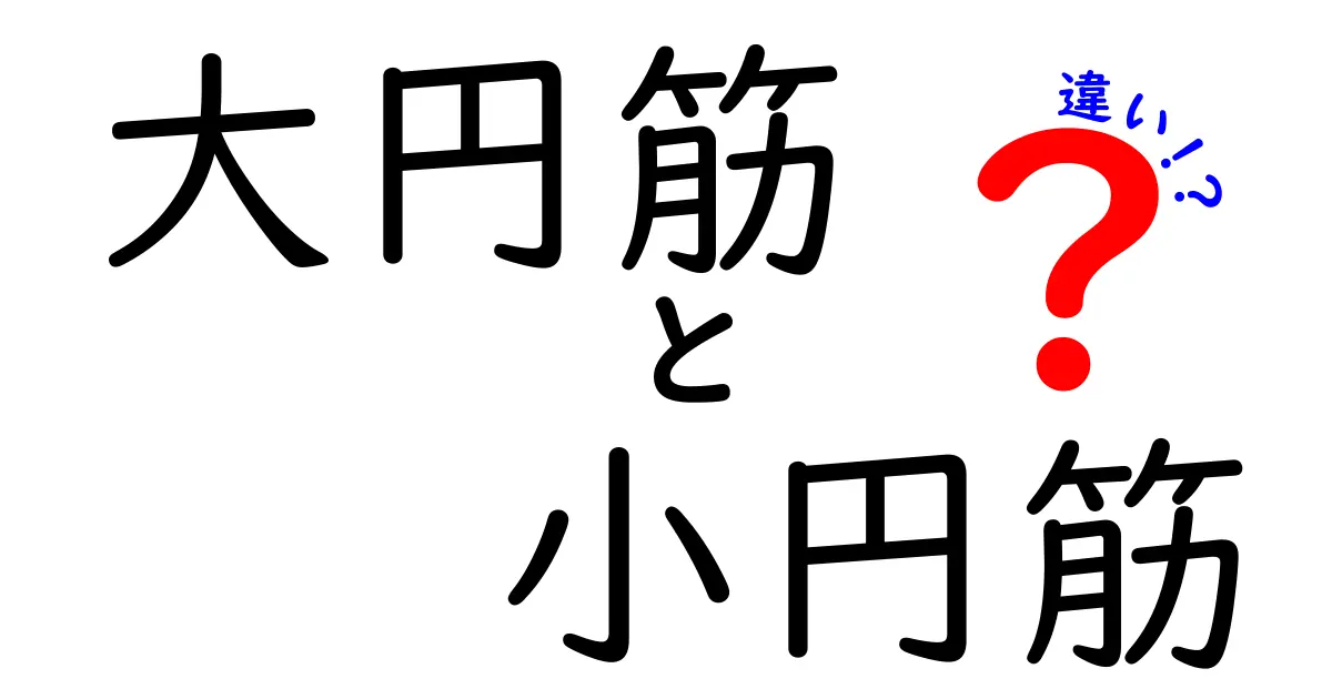 背中と肩の謎を解く！大円筋と小円筋の違いを徹底解説