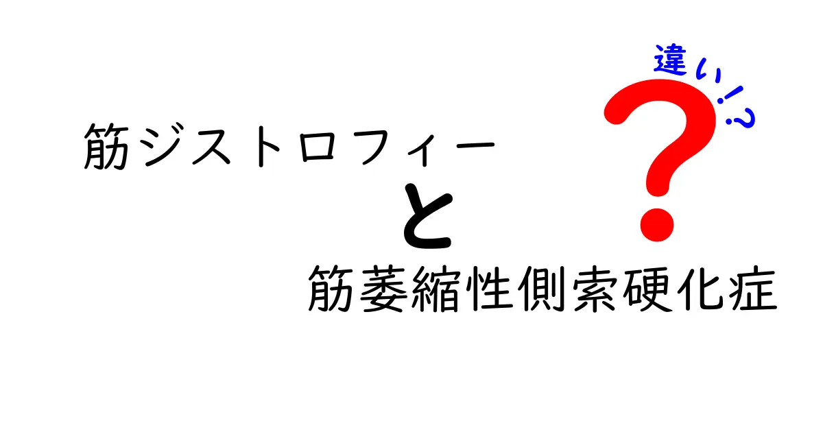 筋ジストロフィーとALSの違いを徹底解説｜原因・症状・治療・見分け方を中学生にも分かる言葉で