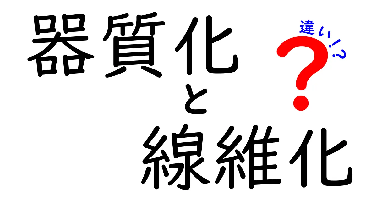 器質化と線維化の違いを中学生にも分かるよう解説！ポイントを押さえて理解を深めよう