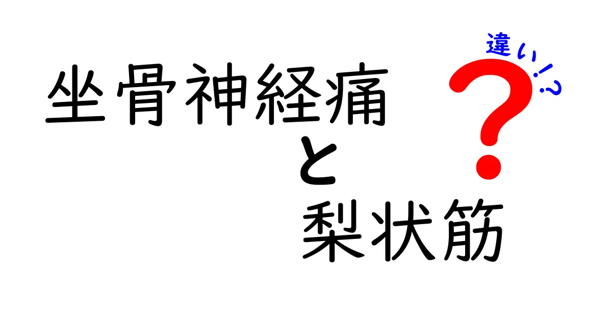坐骨神経痛と梨状筋の違いを徹底解説 痛みの原因と見分け方をわかりやすく解説