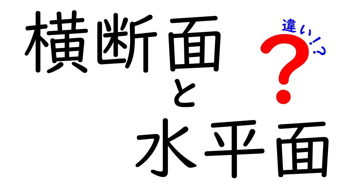 横断面と水平面の違いを徹底解説！中学生にも分かる図解つきのポイント
