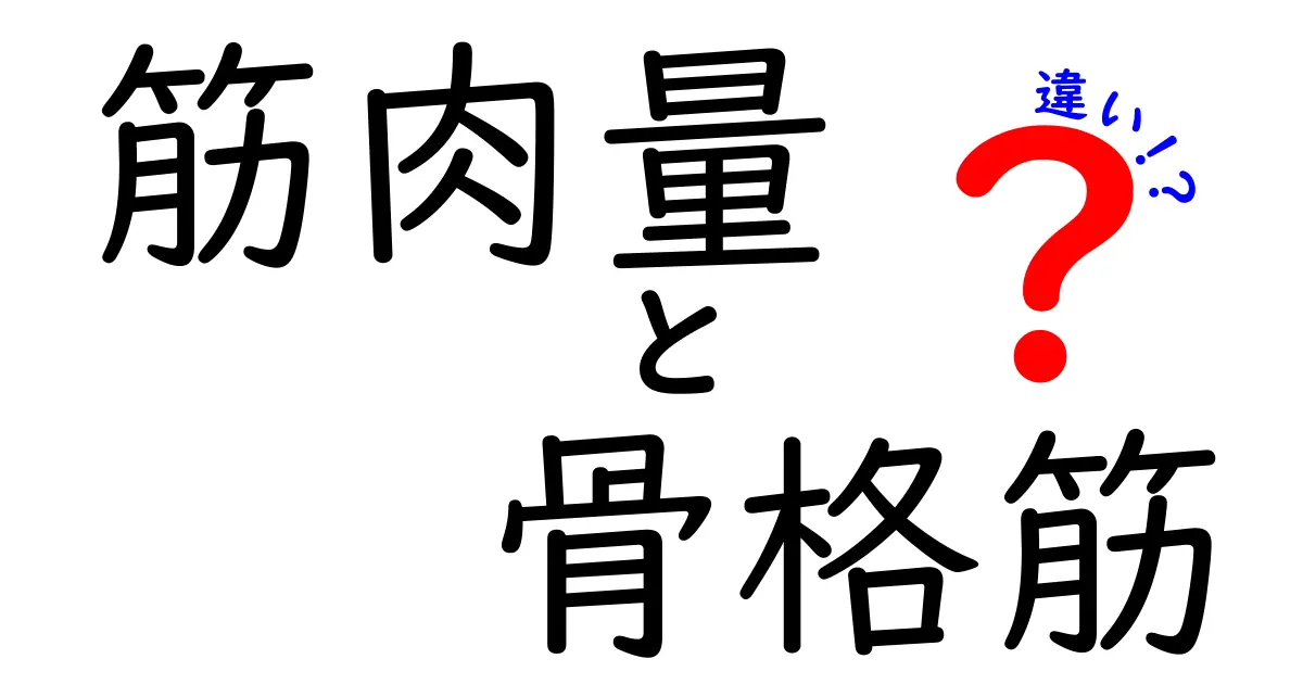 筋肉量と骨格筋の違いを徹底解説！あなたの体づくりを成功させる基礎知識と測定のコツ