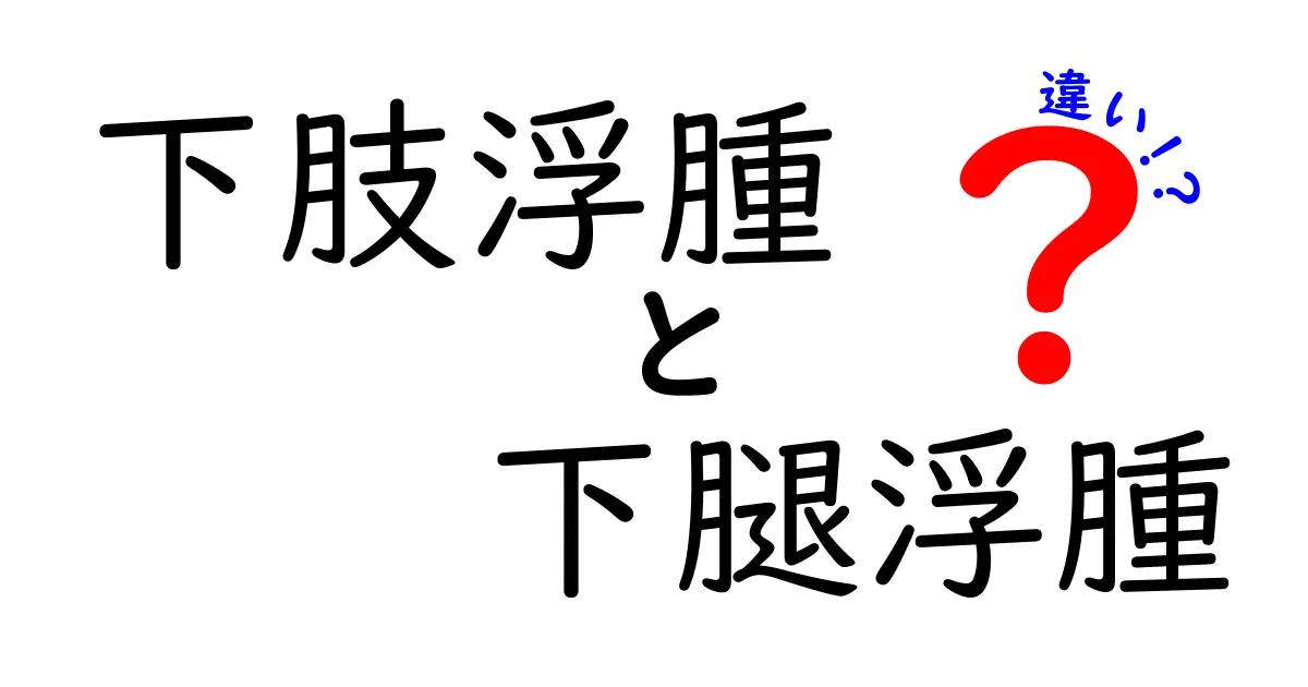 下肢浮腫と下腿浮腫の違いを徹底解説！見分け方と対処のコツをわかりやすく解説