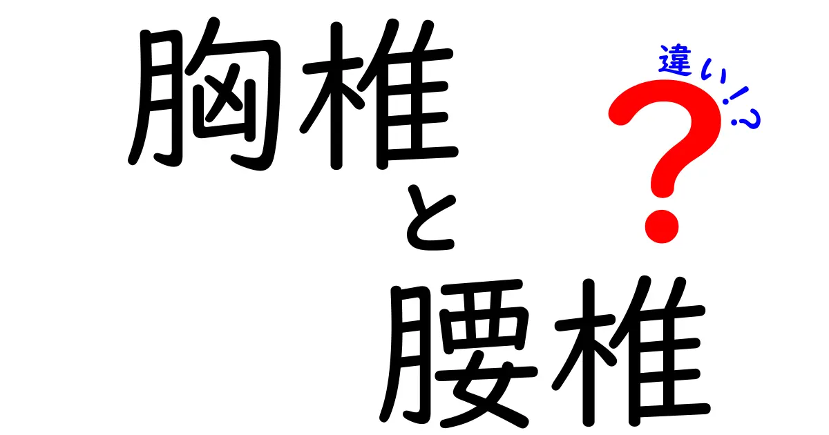 胸椎と腰椎の違いを徹底解説 中学生にも分かる図解と生活のヒント