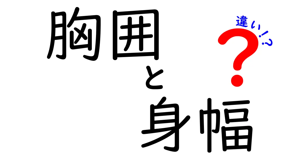 胸囲と身幅の違いを徹底解説！サイズ選びの落とし穴と正しい測り方