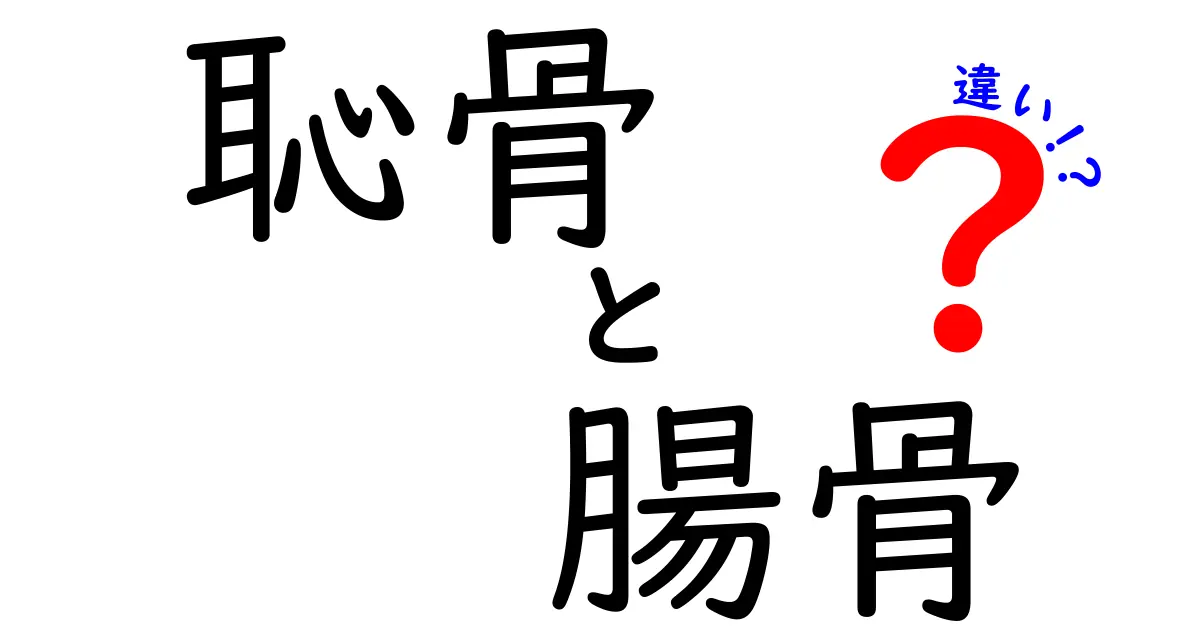 恥骨と腸骨の違いを徹底解説｜名前の意味から見分け方までわかりやすく