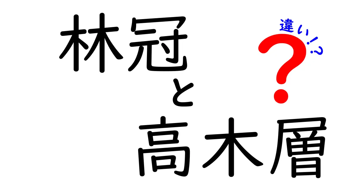林冠と高木層の違いを完全解説！中学生にもわかる森の階層ガイド