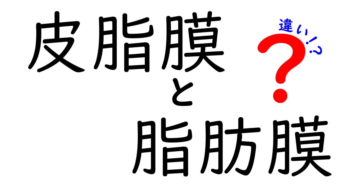 皮脂膜と脂肪膜の違いを徹底解説｜肌を守る仕組みと日常ケアが分かる