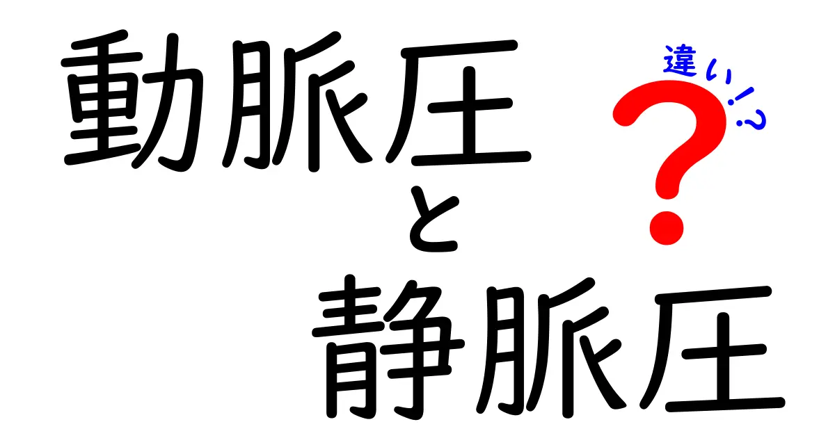 動脈圧と静脈圧の違いを徹底解説！図解つきで中学生にもやさしく理解
