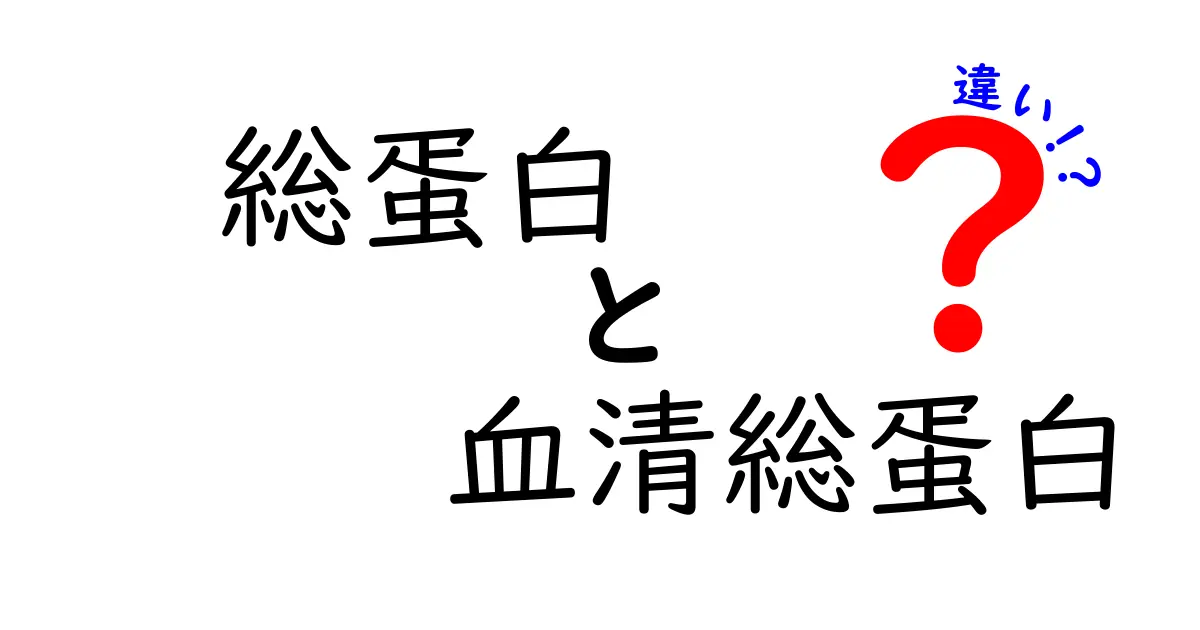 総蛋白と血清総蛋白の違いをわかりやすく解説｜中学生にも理解できるポイント