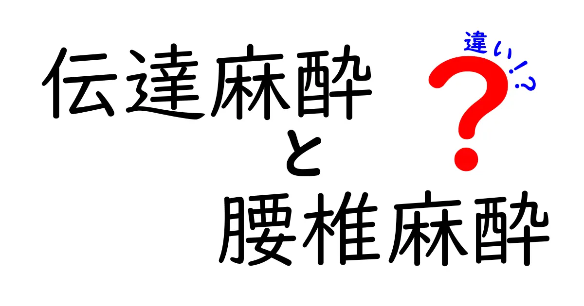 伝達麻酔と腰椎麻酔の違いをわかりやすく解説！手術前に知っておきたいポイント