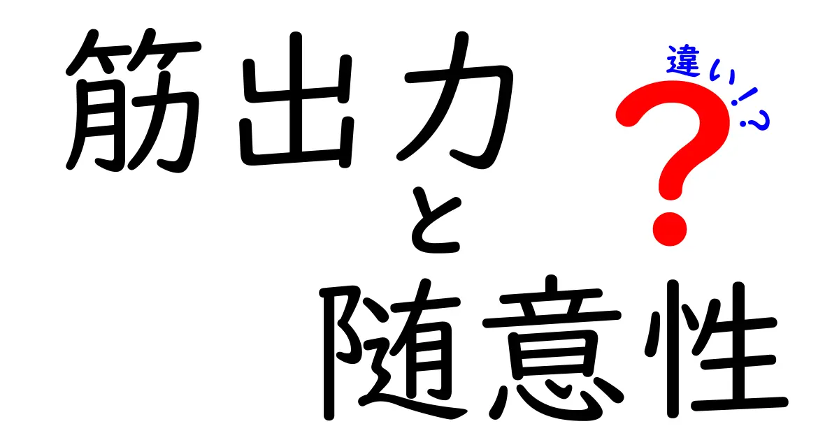 筋出力と随意性の違いを完全解説｜スポーツで力と意志の関係を理解しよう