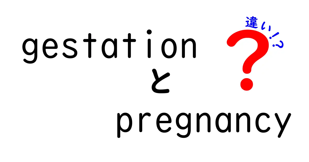 gestationとpregnancyの違いを中学生にもわかるやさしい解説｜いつからいつまでの違い？