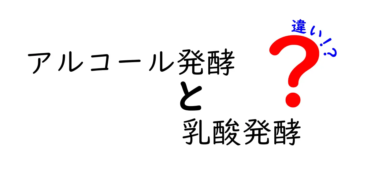 アルコール発酵　乳酸発酵　違いを徹底解説！酵母と乳酸菌の働きを中学生にもわかる言葉で