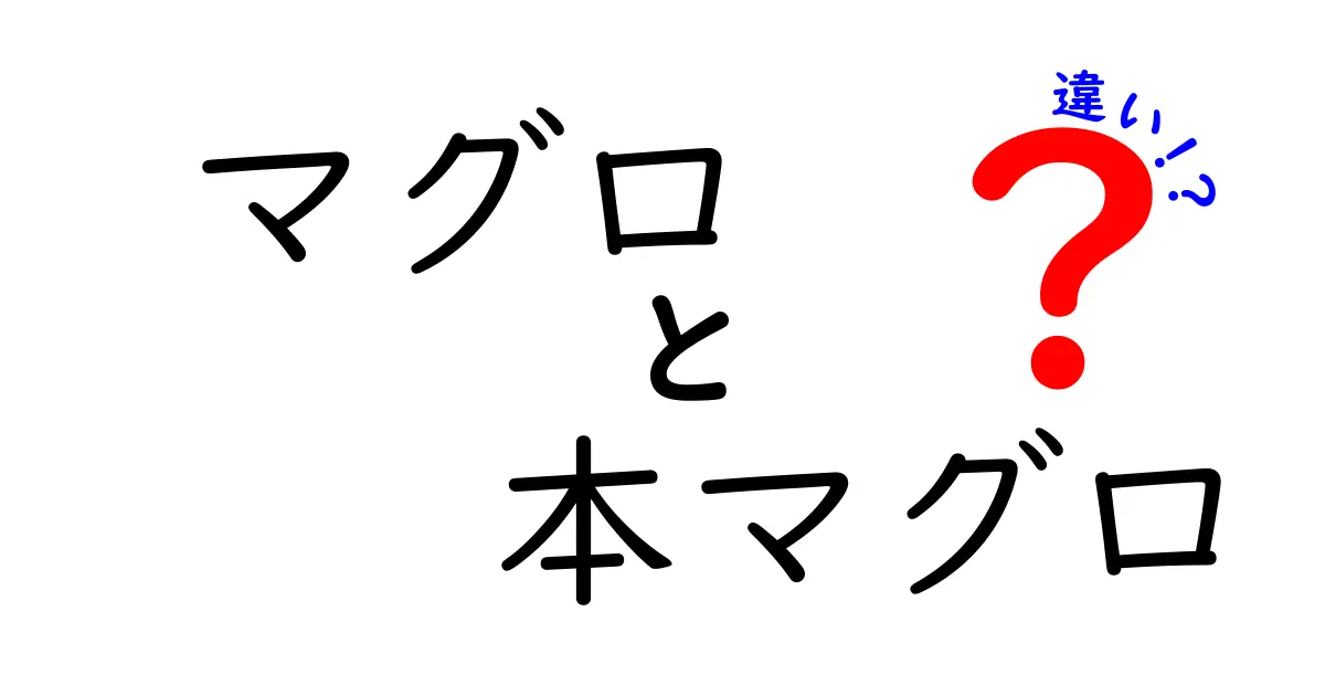 マグロと本マグロの違いを徹底解説！名前の秘密と美味しさの違いを中学生にもわかる話