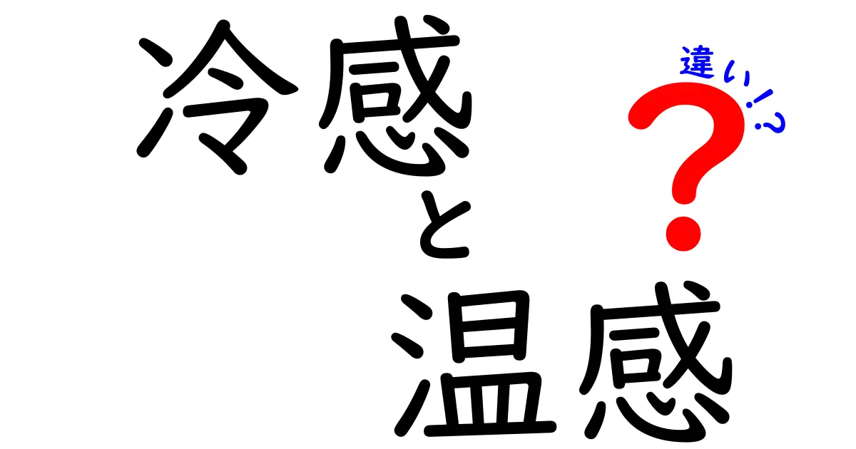 冷感と温感の違いを徹底解説！暑い夏を快適にする秘密を学ぼう
