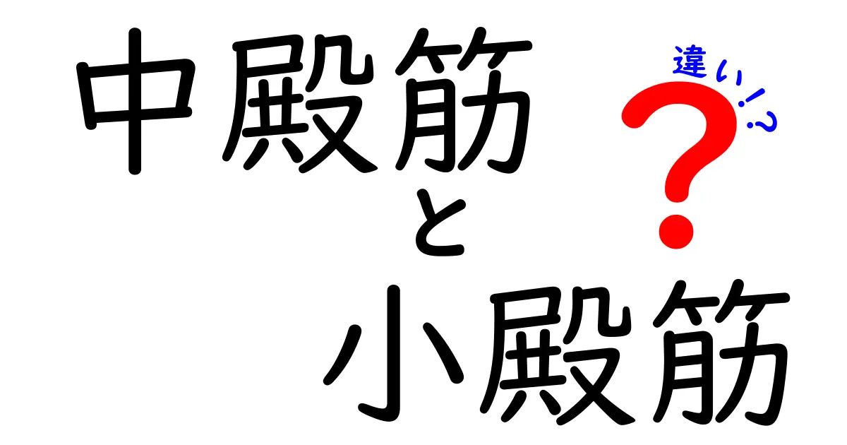 中殿筋と小殿筋の違いを徹底解説！痛み予防と美しいフォームをつくる正しい使い方