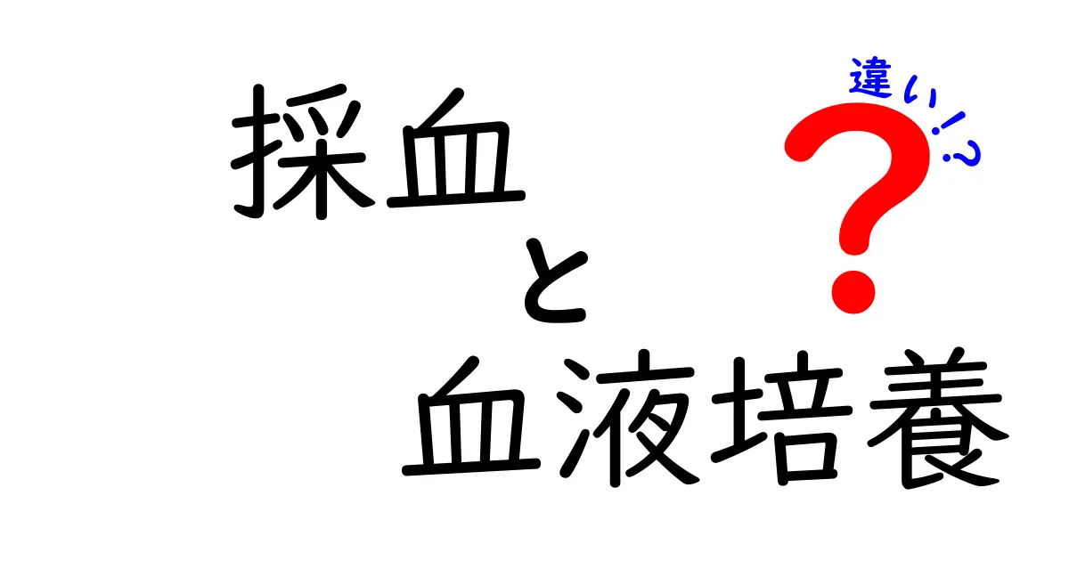 採血と血液培養の違いをやさしく理解する入門ガイド—誰でもわかる基本と見分け方