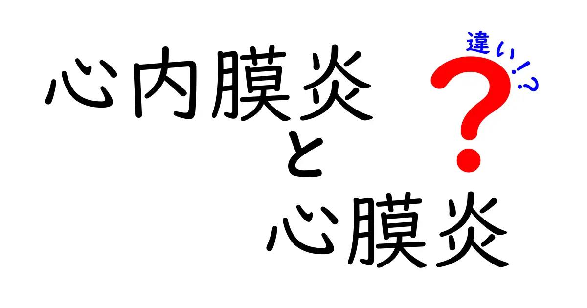 心内膜炎と心膜炎の違いを徹底解説 | 2つの心臓の炎症をわかりやすく比較