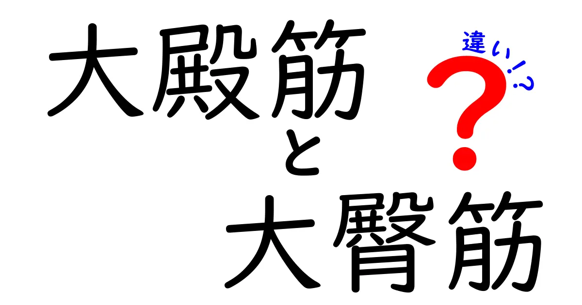 大殿筋と大臀筋の違いはどこにある？意味・使い方・勘違いを徹底解説