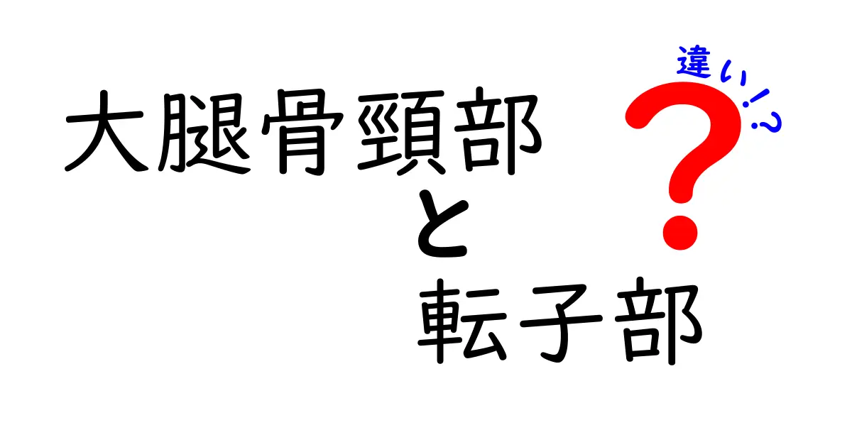 大腿骨頸部と転子部の違いを徹底解説｜しくみ・役割・痛みのサインまでわかる中学生向けガイド