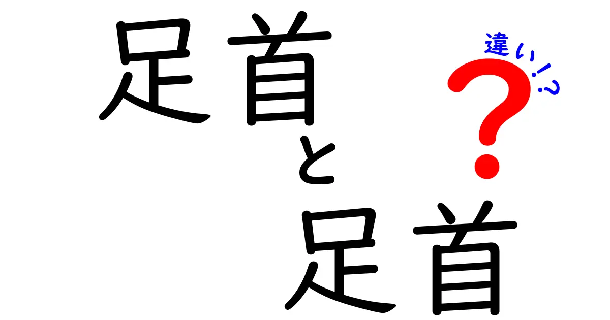 足首とくるぶしの違いを徹底解説！同じように見えるけど本当はこう違う