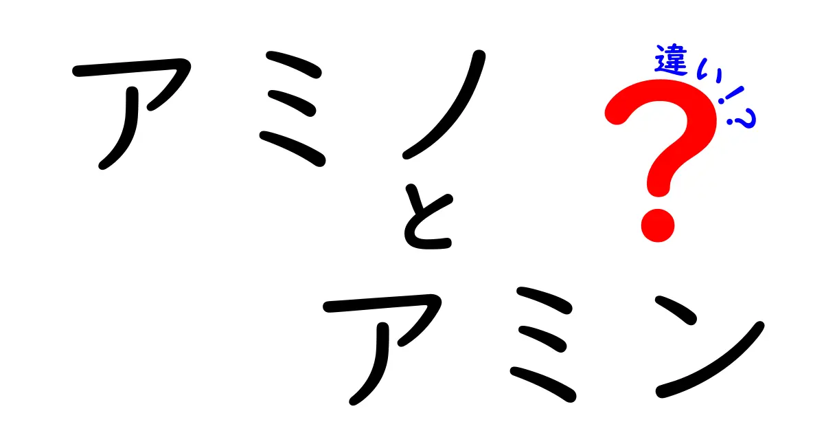 アミノとアミンの違いを徹底解説！身近な科学用語をやさしく理解するコツ