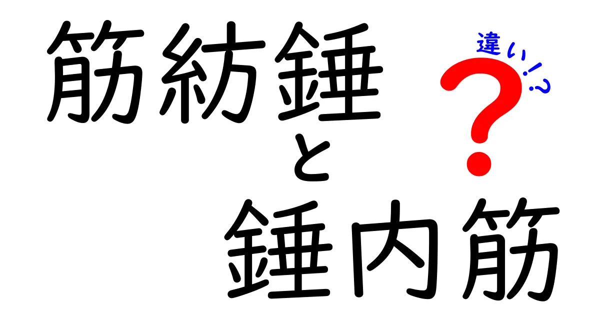 筋紡錘と錘内筋の違いを徹底解説！中学生にも分かる身体の仕組み