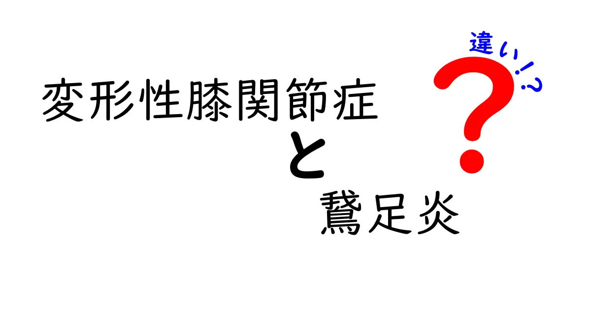 変形性膝関節症と鵞足炎の違いを徹底解説｜見分け方と治療のポイント