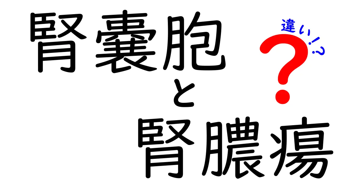 腎嚢胞と腎膿瘍の違いを1分で理解する最短ガイド 画像付きでわかりやすく解説