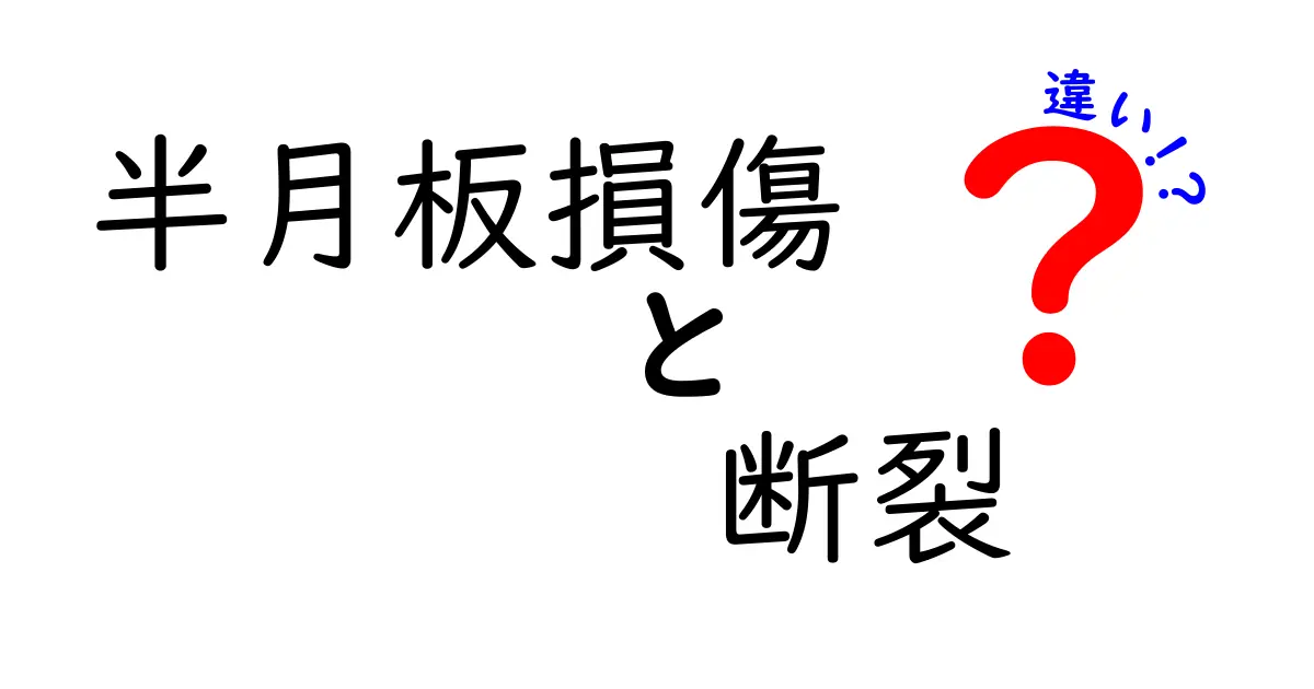 半月板損傷と断裂の違いを徹底解説！原因・症状・治療のポイントを中学生にもわかりやすく
