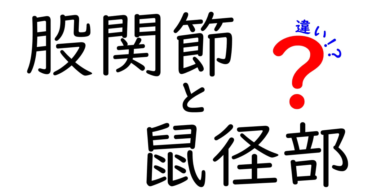 股関節と鼠径部の違いを徹底解説！痛みの原因を見分けるための基本と見分けのポイント
