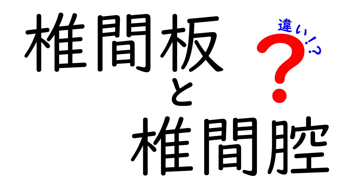椎間板と椎間腔の違いを徹底解説｜背骨のクッションと空間を正しく理解する3つのポイント