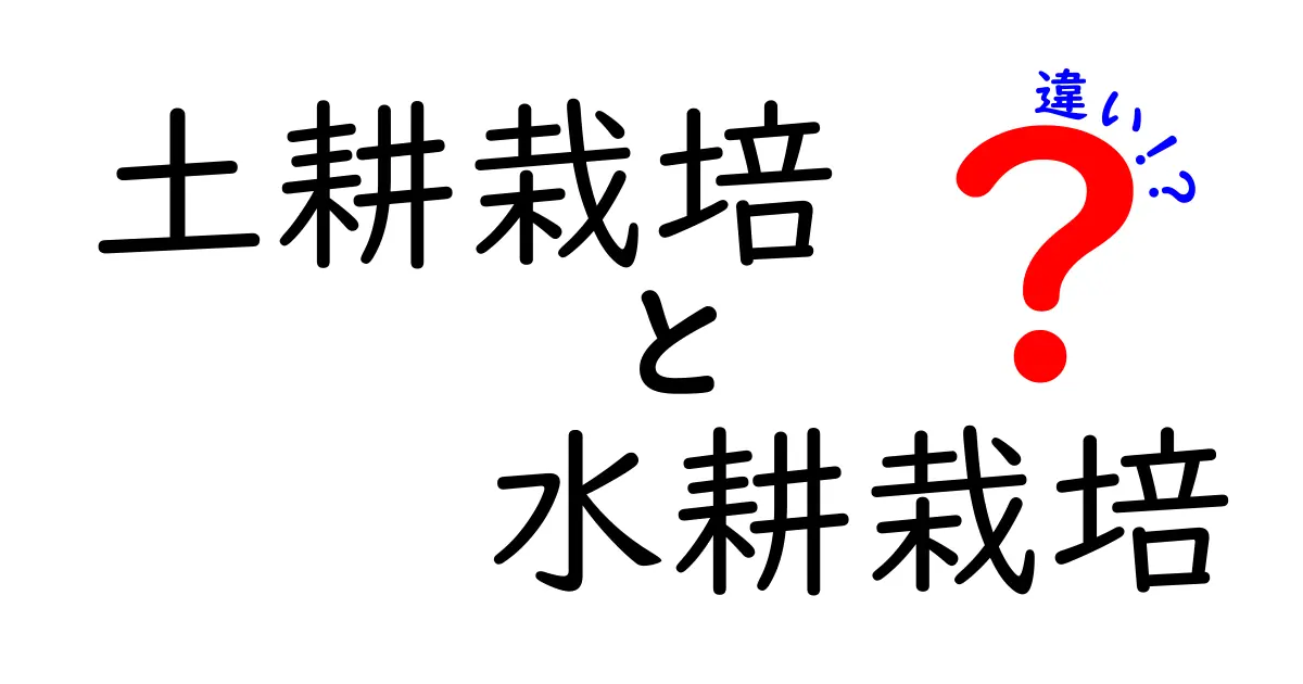 土耕栽培と水耕栽培の違いをわかりやすく徹底解説！初心者が知っておくべきポイントと選び方