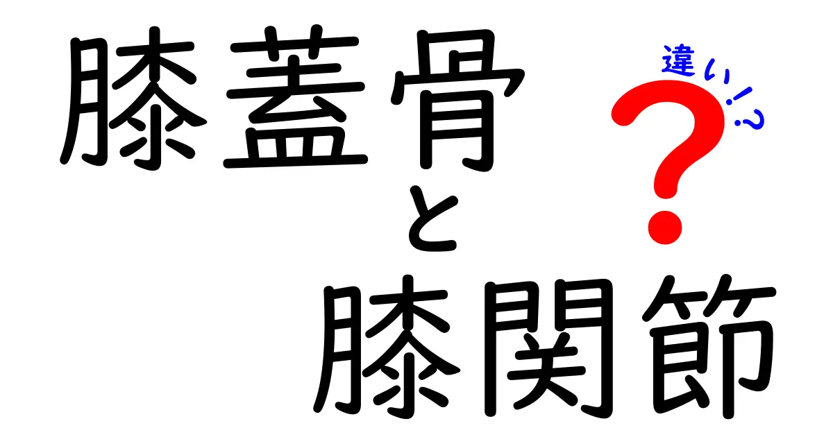 膝蓋骨と膝関節の違いをわかりやすく解説！中学生にも伝わるポイントと痛みのサイン