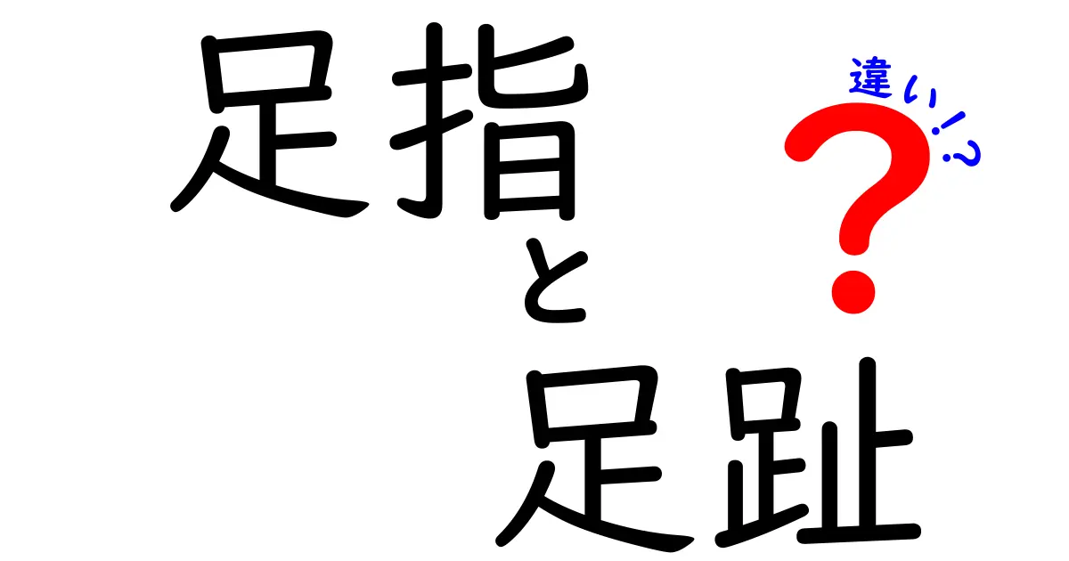 足指と足趾の違いを徹底解説！日常と医療でどう使い分けるべきか