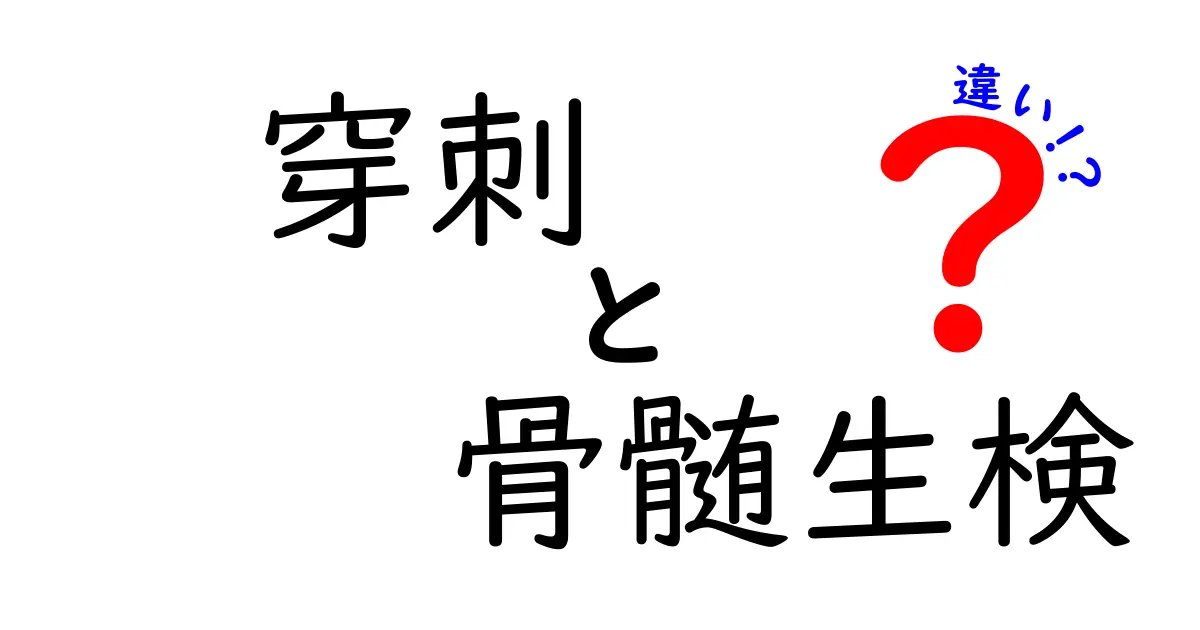 穿刺と骨髄生検の違いを徹底解説！中学生にもわかる医療の基本