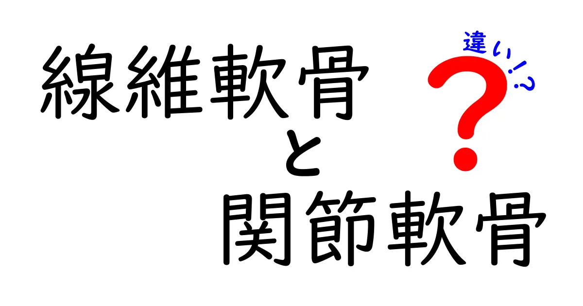 線維軟骨と関節軟骨の違いを徹底解説｜中学生にもわかるポイント整理